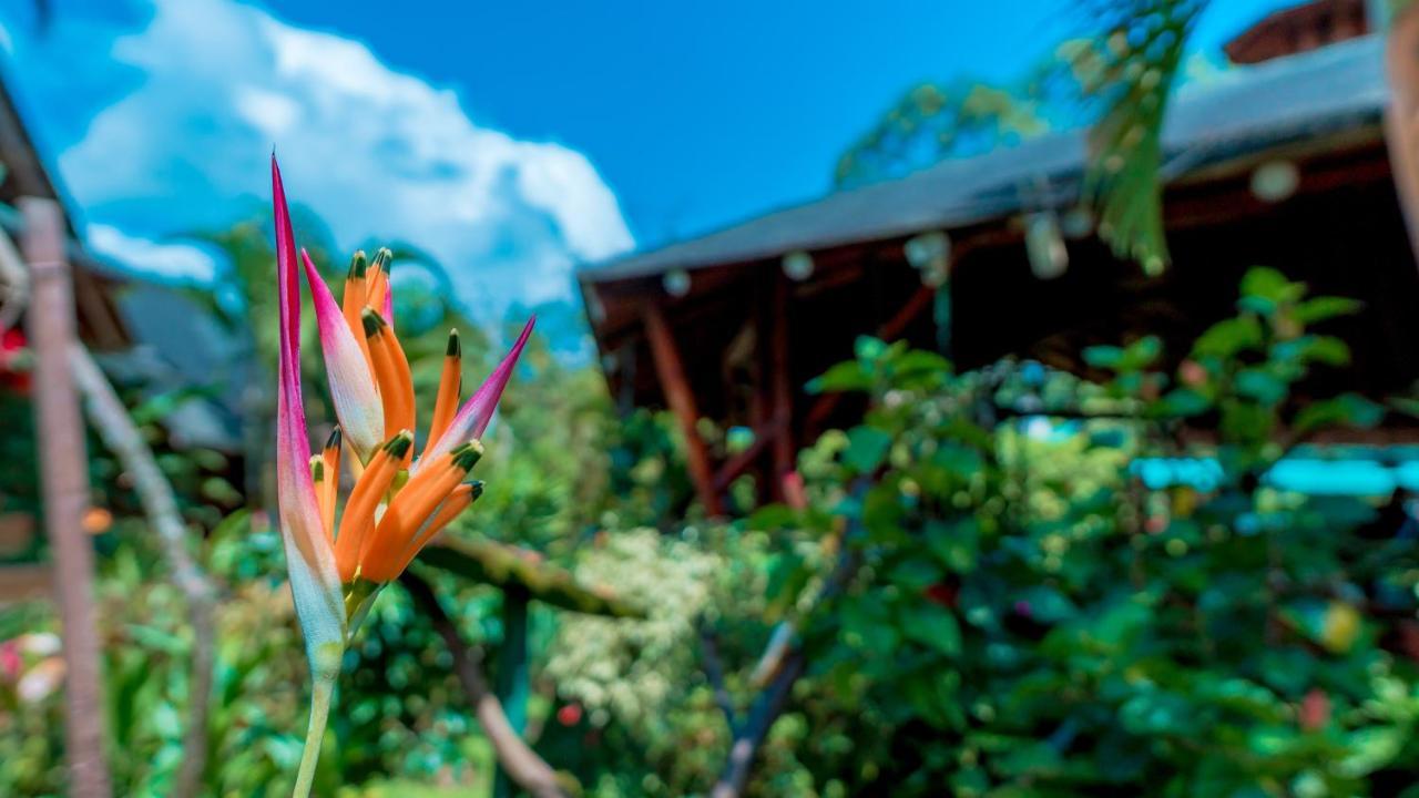Sisakuna Lodge Mindo Esterno foto